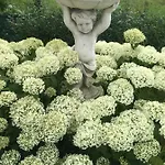 Hébergement de vacances Eifel-moezelhuis *