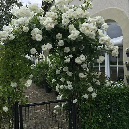 Holiday home Eifel-moezelhuis Bergweiler