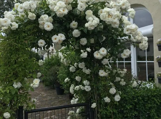 בית נופש Eifel-moezelhuis Bergweiler