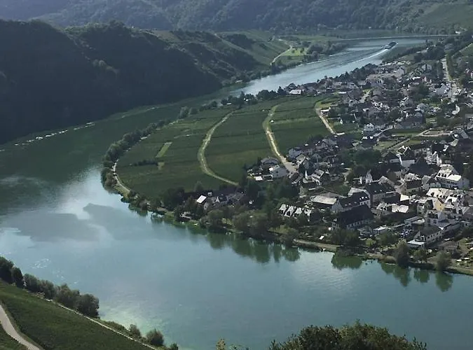 Holiday home Eifel-moezelhuis *