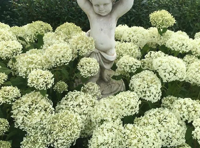 בית נופש Eifel-moezelhuis *