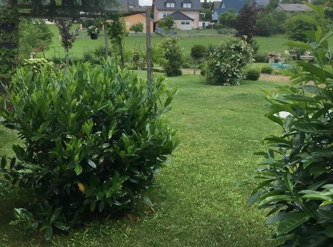 Eifel-moezelhuis Holiday home