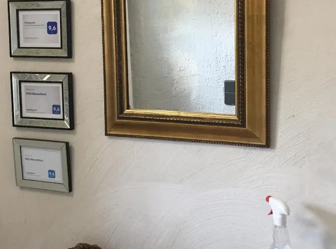 Holiday home Eifel-moezelhuis *